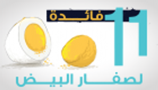 إنفوجراف.. 11 فائدة لصفار البيض