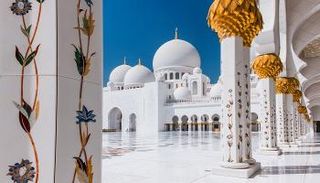 مسجد الشيخ زايد الكبير