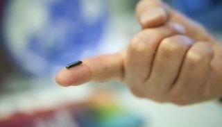 الشريحة الإلكترونية بحجم حبة الأرز