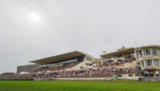 مضمار ويلنجتون سيستضيف كأس رئيس الإمارات للخيول