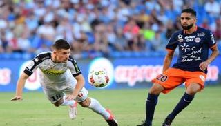 مدرب مونبلييه ينفي رحيل 