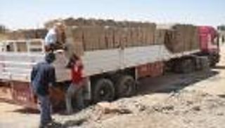 ليبيا.. الانقسام السياسي يلتهم الأمن الغذائي