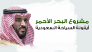 "بلومبرج":محمد بن سلمان يخطط لاقتصاد "عصر ما بعد النفط"