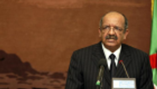 تنسيق "مصري - جزائري" في حفظ الأمن وحل أزمة ليبيا