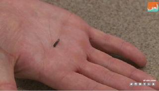 الشريحة الإلكترونية