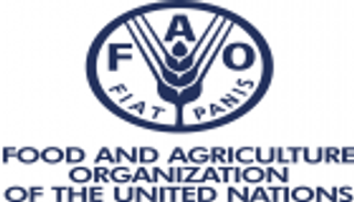 "النقد مقابل العمل".. لإعادة تأهيل البنى التحتية بالعراق