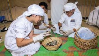 يتيح النشاط الفرصة للطلبة للمشاركة في عدد واسع من الورش 