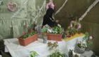 إبداعات الأسر المنتجة السعودية بمهرجان الورد والفاكهة في تبوك