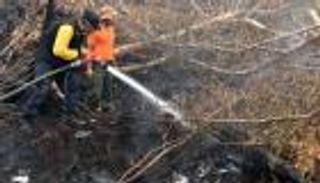 الجيش الإندونيسي يتوعد بإطلاق النار على مَن يتعمّد حرق الغابات