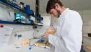 بالصور.. فضيحة البيض المسمم تهدد دجاج أوروبا بإعدام جماعي