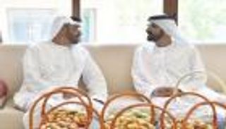 محمد بن راشد ومحمد بن زايد يبحثان عددا من القضايا الوطنية والإقليمية