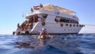 مصر.. 9 سائحين إسبان نجوا من الموت بأعجوبة بعد أسبوع في الماء