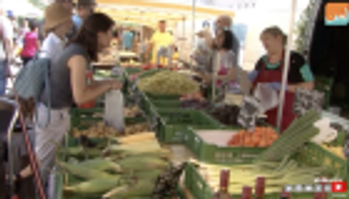 بالفيديو.. "ناش ماركت".. العالم يتسوق في فيينا