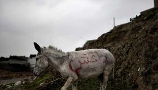 داعش يستخدم تكنيكا جديدا لتنفيذ التفجيرات