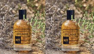 مجموعة عطور أركاديا