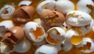 إيطاليا تضبط كمية كبيرة من البيض الملوث