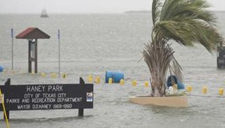 الإعصار هارفي - أرشيفية