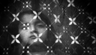 يقدم المعرض لزواره 23 صورة فوتوغرافية بعدسة برونو بوجلال