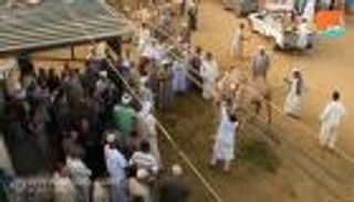بوابة "العين" في أشهر أسواق الإبل بمصر.. البحث عن أضحية