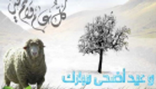 الأضحى في البلدان العربية.. تتنوع العادات والفرحة واحدة