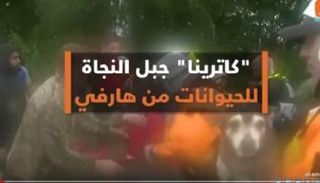 كاترينا جبل النجاة للحيوانات من هارفي