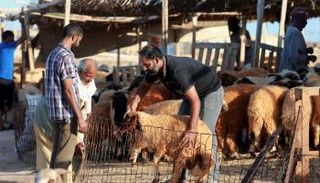 7 شروط لاختيار الأضحية الشرعية.. ما هي ؟ 