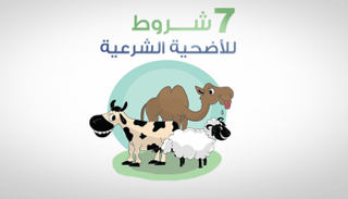 إنفوجراف.. 7 شروط للأضحية الشرعية