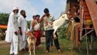 علماء الهند يحذرون من نشر مشاهد الأضاحي مراعاة للتنوع الديني