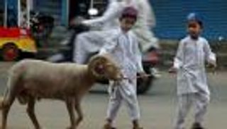 بالصور.. احتفالات الهند بعيد الأضحى