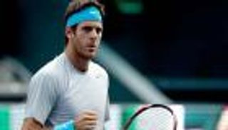 ديل بوترو يواصل التقدم في أمريكا المفتوحة