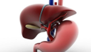 أمريكيون يطورون دواء جديدا لمرض الكبد الدهني