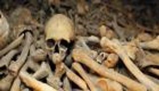 جماجم وعظام على جانب طريق بصعيد مصر تثير المخاوف والتساؤلات