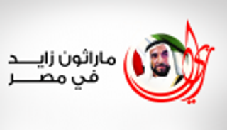 إنفوجراف.. تفاصيل "مهرجان زايد الخيري" بصعيد مصر