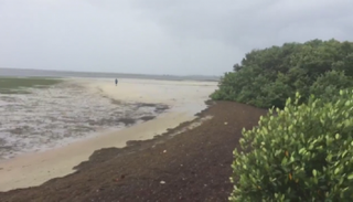 إرما امتص مياه البحر من شواطئ فلوريدا