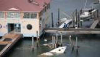 إرما يرفع عدد ضحاياه في فلوريدا إلى 82 شخصا