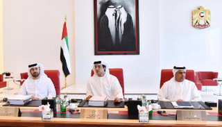 الشيخ منصور بن زايد آل نهيان يترأس المجلس الوزاري للتنمية