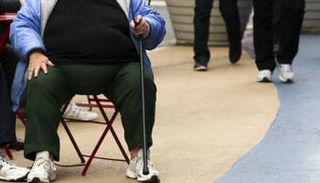 بكتيريا الأمعاء تتحكم في الوزن