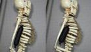 ابتكار عضلات صناعية على طريقة أرنولد شورازنيجر