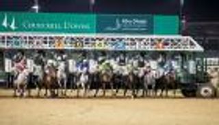 كأس رئيس الإمارات للخيول العربية تواصل نجاحاتها بأمريكا