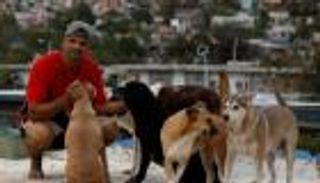 بالفيديو.. يتحديان الإعصار لإنقاذ 7 كلاب و8 قطط