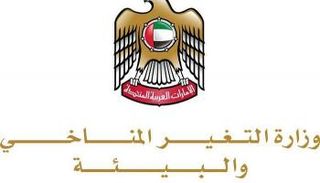 حظر استيراد الطيور الحية من هولندا 