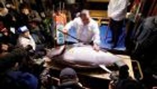 بيع سمكة تونة بـ323 ألف دولار