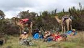 نجاح كبير لمهرجان "رحالة الإمارات" يصنفه الأول عالميا