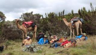 رحالة الإمارات على جبل كليمنجارو