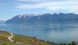 ساحل نهر الراين - أرشيفية