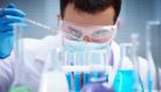 دواء من قنافذ البحر يحارب أعراض الشيخوخة