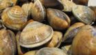 وفاة سيدة تناولت مأكولات بحرية غير مطبوخة