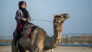 رحلة الهجن الاستكشافية