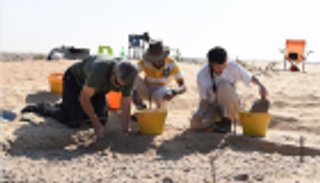 أم القيوين تبدأ التنقيب في موقع أثري جديد