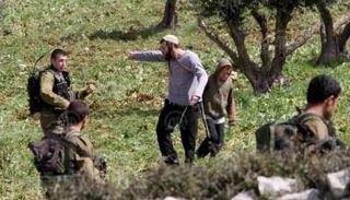 اعتداءات مستوطنين إسرائيليين على أراض فلسطينية - أرشيفية